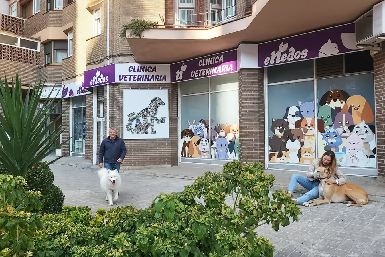 Vinilos informativos y decorativos aplicados en una clínica veterinaria